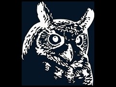 Night Owl 深色模式+浅色模式
